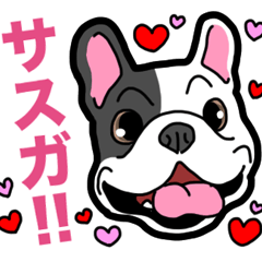 わんこ日和 フレンチブルドッグ5 ポップ