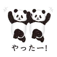 今日のパンダ(毎日)
