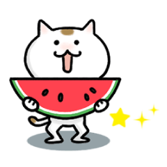 ブチにゃんサマー編
