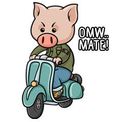 Casual Piggy