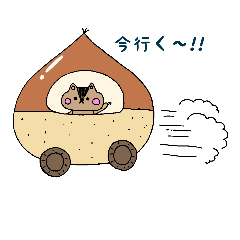 りすのマロンさん①