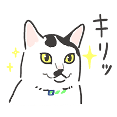 キャットカフェ ミーシス スタンプ2