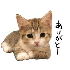 甘えんぼうのよぐ