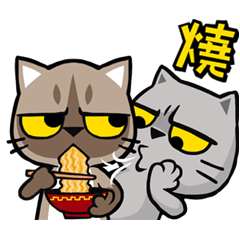 貓爪抓 -趁燒快抓-