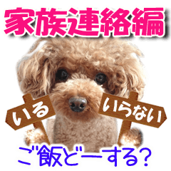 トイプーくぅちゃん<家族連絡編>