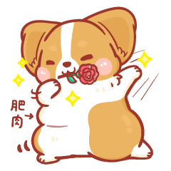 柯基犬卡卡- 甜蜜特輯 卡卡篇