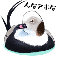 日本の野鳥5