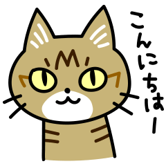 トラ猫キビちゃん