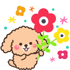 大人かわいい❤️毎日使えるトイプードル