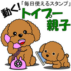 動く！トイプー親子