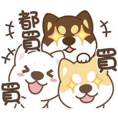 鬼靈精的小捲尾柴柴們