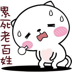 貓小喵