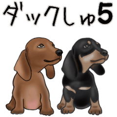 ダックしゅ5
