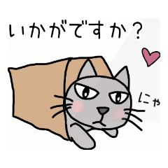 ちょっぴり目付きがワルい猫《丁寧語》