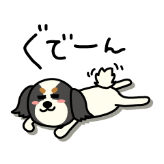みんなのパピチワ