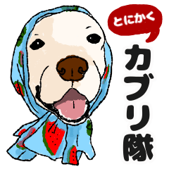 カブリ隊エディション1