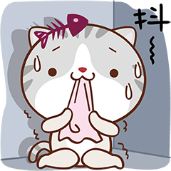 迷戀小小貓