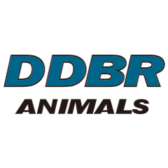 DDBR animals
