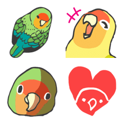 Zoo 5 / Rosy-faced lovebird