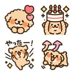 Toy Poodle Full